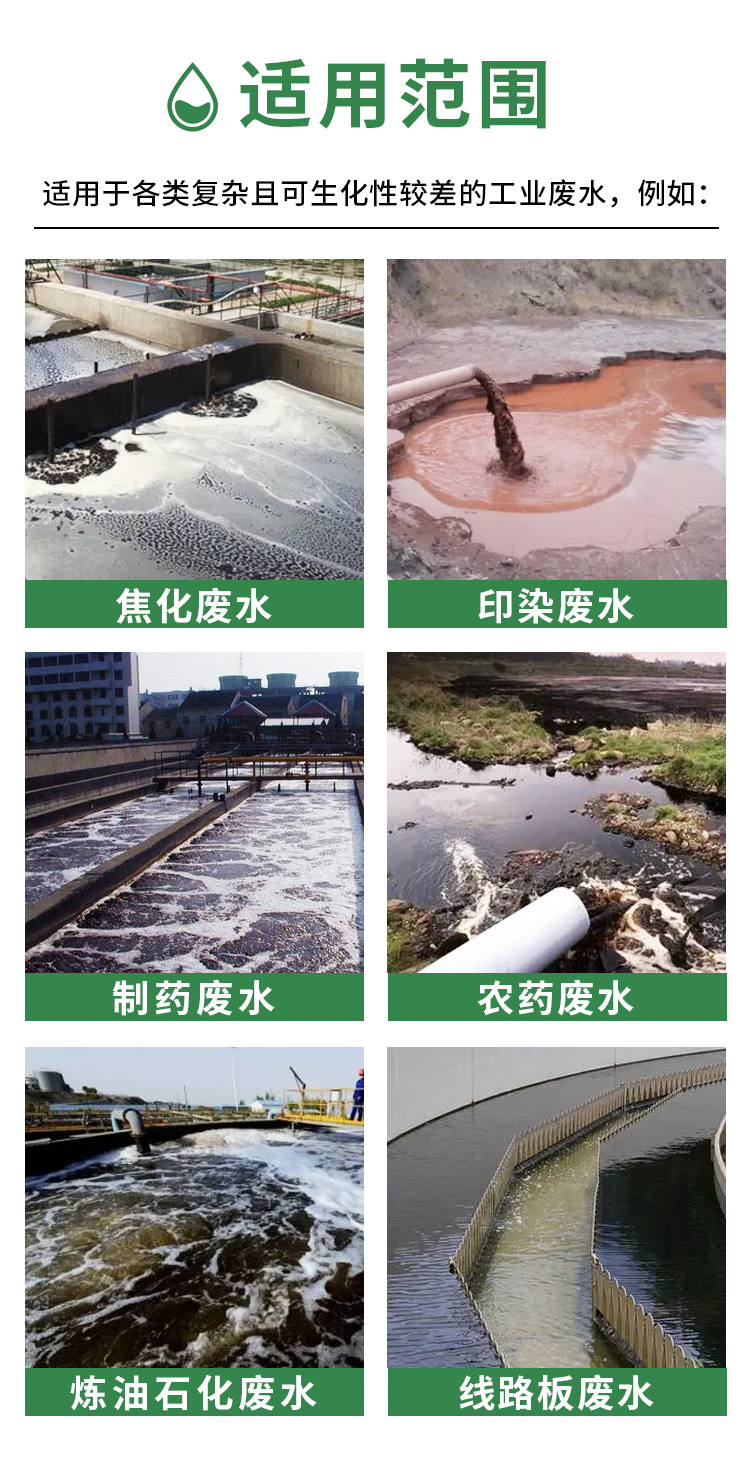 画板 5.jpg