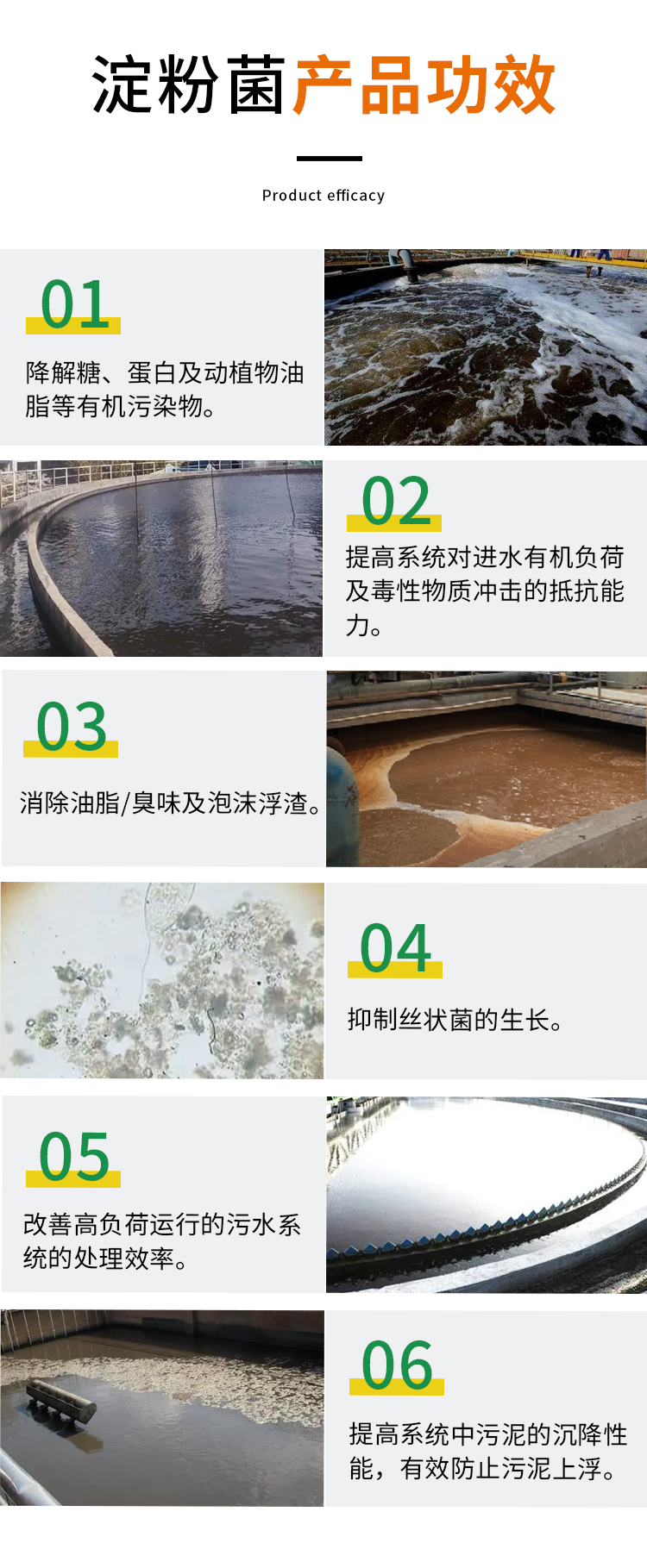 画板 4.jpg