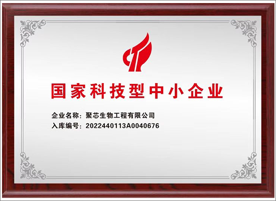 聚芯生物国家科技型中小企业证书