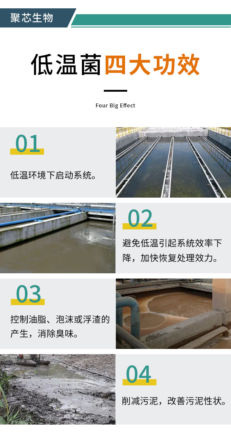 低温菌详情页_04.jpg