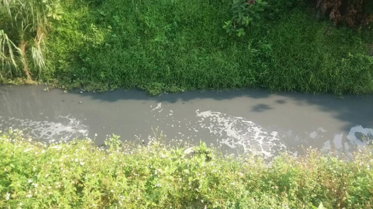 河道水体生态修复前